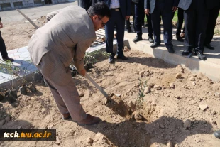 آیین نیکوی درختکاری در دانشکده