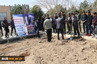آیین نیکوی درختکاری در دانشکده