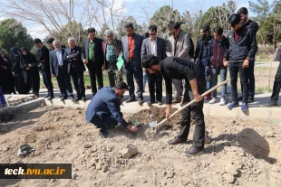 آیین نیکوی درختکاری در دانشکده