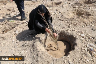آیین نیکوی درختکاری در دانشکده
