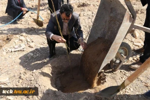 آیین نیکوی درختکاری در دانشکده