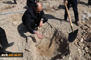 آیین نیکوی درختکاری در دانشکده
