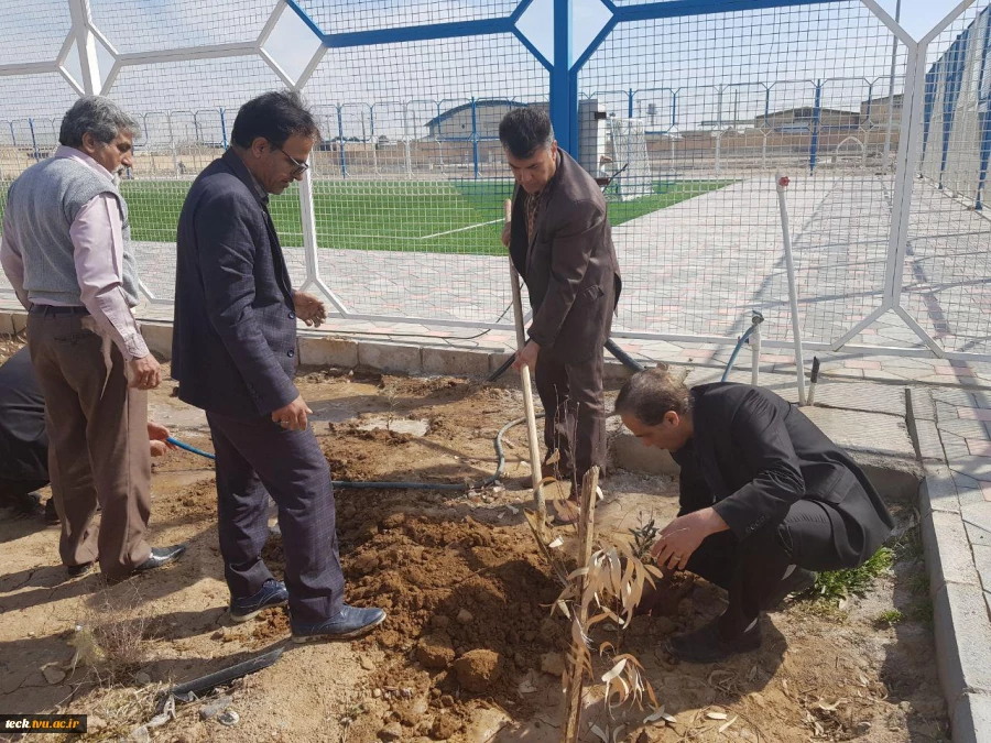 کاشت درخت نمادین توسط اساتید و کارکنان دانشکده 4