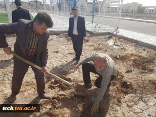 کاشت درخت نمادین توسط اساتید و کارکنان دانشکده 5