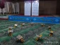 آئین جزءخوانی دانشجویان در دانشکده