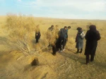 کویرنوردی جمعی از کارکنان دانشکده فنی شهید رجائی کاشان در کویر مرکزی آران و بیدگل 7