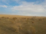کویرنوردی جمعی از کارکنان دانشکده فنی شهید رجائی کاشان در کویر مرکزی آران و بیدگل 15