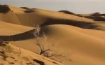کویر نوردی کارکنان و اساتید دانشکده فنی شهید رجائی کاشان 3