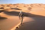 کویر نوردی کارکنان و اساتید دانشکده فنی شهید رجائی کاشان 4