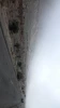 تقدیر از همکاران اجرایی و دست اندرکاران برگزاری امتحانات پایان ترم دانشکده فنی شهید رجائی کاشان با سفر به روستای کمال الملک 3