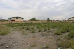 دومین هفته از برداشت گل محمدی از گلستان های دانشکده فنی شهید رجائی کاشان 3