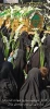 اعلام نتایج مسابقه عکاسی فرزندان کارکنان و استادان و اعضای هیئت علمی دانشکده فنی شهید رجائی کاشان به مناسبت هفته دفاع مقدس و اربعین حضرت اباعبدالله الحسین(علیه السلام) 2
