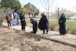 اجرای برنامه جمعی درختکاری در روز ولادت حضرت اباعبدالله الحسین علیه السلام، روز پاسدار و روز درختکاری در دانشکده فنی شهید رجائی کاشان 7