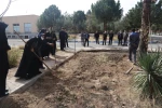 اجرای برنامه جمعی درختکاری در روز ولادت حضرت اباعبدالله الحسین علیه السلام، روز پاسدار و روز درختکاری در دانشکده فنی شهید رجائی کاشان 8