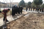 اجرای برنامه جمعی درختکاری در روز ولادت حضرت اباعبدالله الحسین علیه السلام، روز پاسدار و روز درختکاری در دانشکده فنی شهید رجائی کاشان 10