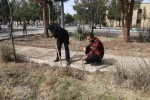 اجرای برنامه جمعی درختکاری در روز ولادت حضرت اباعبدالله الحسین علیه السلام، روز پاسدار و روز درختکاری در دانشکده فنی شهید رجائی کاشان 14