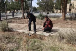 اجرای برنامه جمعی درختکاری در روز ولادت حضرت اباعبدالله الحسین علیه السلام، روز پاسدار و روز درختکاری در دانشکده فنی شهید رجائی کاشان 15