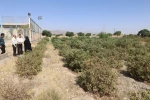 برزگرای نشست مشترک بین روسای دانشکده فنی و حرفه ای شهیدرجائی و اداره جهاد سازندگی شهرستان کاشان 11
