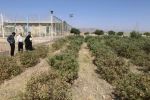 برزگرای نشست مشترک بین روسای دانشکده فنی و حرفه ای شهیدرجائی و اداره جهاد سازندگی شهرستان کاشان 12