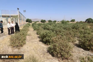 برگزاری نشست مشترک بین روسای دانشکده فنی و حرفه ای شهیدرجائی و اداره جهاد سازندگی شهرستان کاشان 11