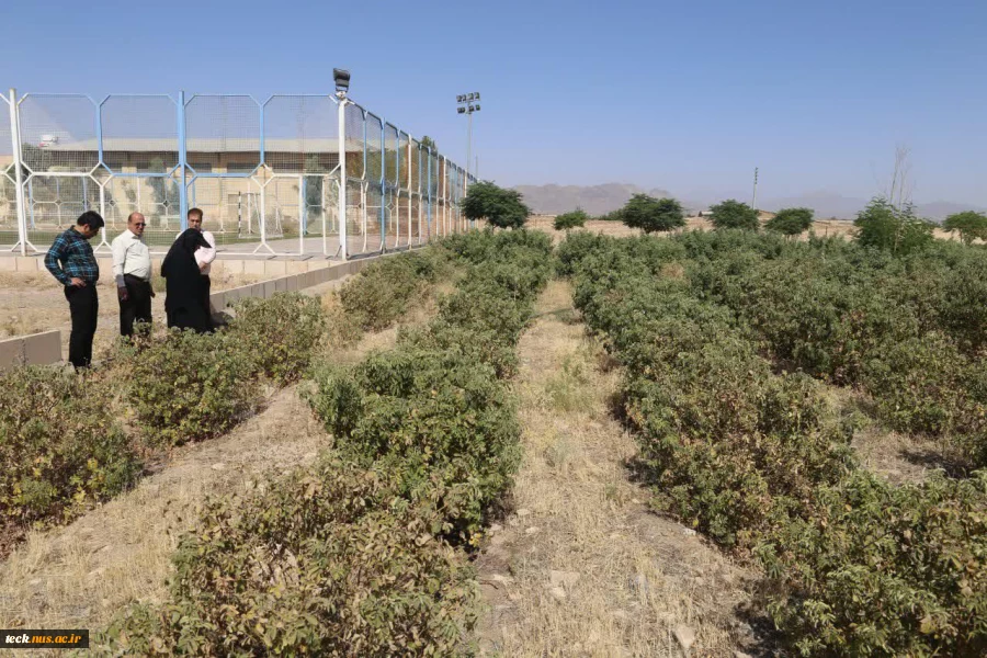برگزاری نشست مشترک بین روسای دانشکده فنی و حرفه ای شهیدرجائی و اداره جهاد سازندگی شهرستان کاشان 12