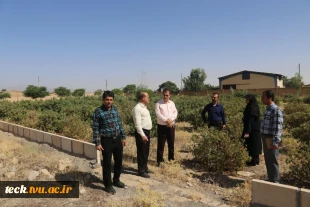 برگزاری نشست مشترک بین روسای دانشکده فنی و حرفه ای شهیدرجائی و اداره جهاد سازندگی شهرستان کاشان 14