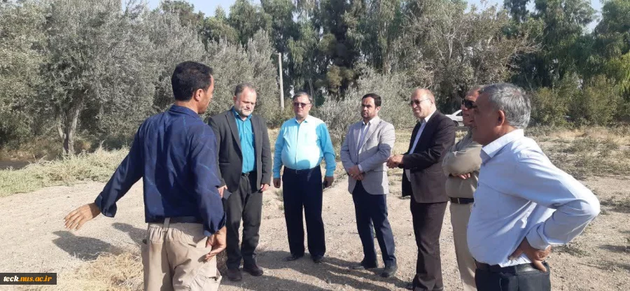 بازدید گروهی از باغ زیتون فدک قم 3