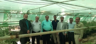 بازدید گروهی جمعی از استادان دانشکده فنی و حرفه ای شهید رجائی کاشان از باغ زیتون فدک قم 4
