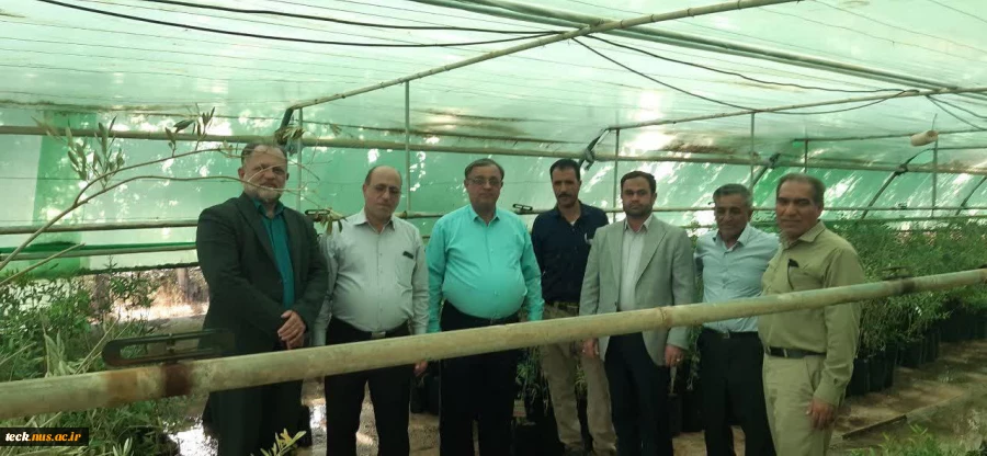 بازدید گروهی جمعی از استادان دانشکده فنی و حرفه ای شهید رجائی کاشان از باغ زیتون فدک قم 4